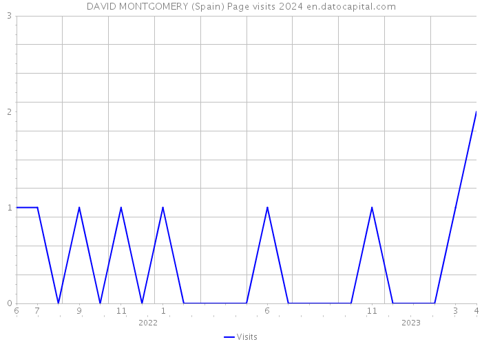 DAVID MONTGOMERY (Spain) Page visits 2024 