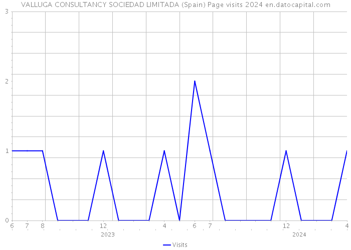 VALLUGA CONSULTANCY SOCIEDAD LIMITADA (Spain) Page visits 2024 