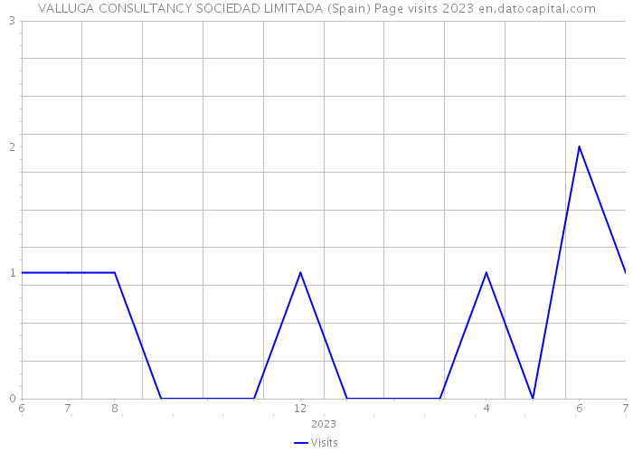 VALLUGA CONSULTANCY SOCIEDAD LIMITADA (Spain) Page visits 2023 
