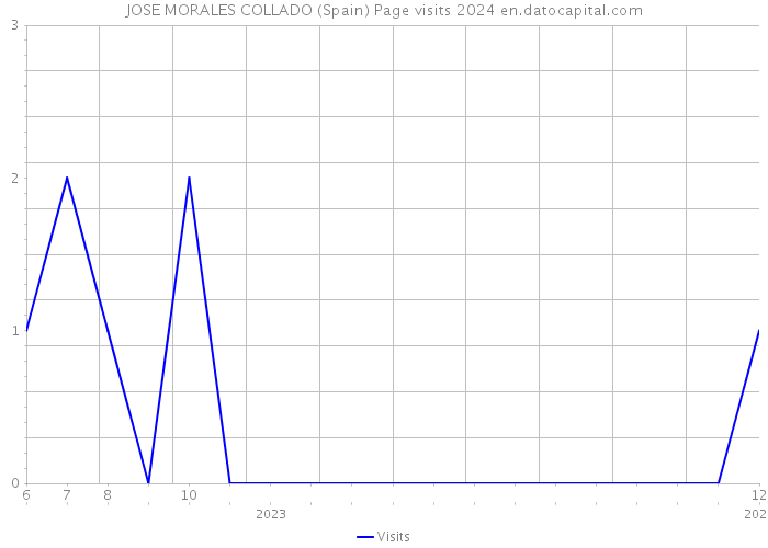 JOSE MORALES COLLADO (Spain) Page visits 2024 