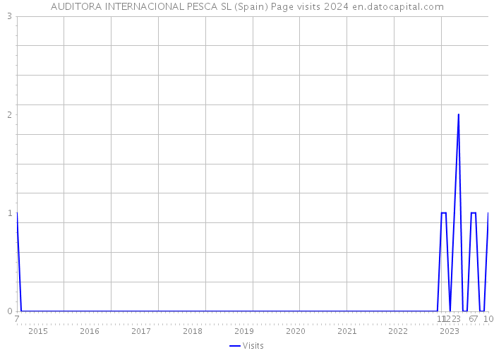AUDITORA INTERNACIONAL PESCA SL (Spain) Page visits 2024 