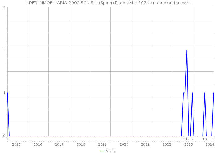 LIDER INMOBILIARIA 2000 BCN S.L. (Spain) Page visits 2024 
