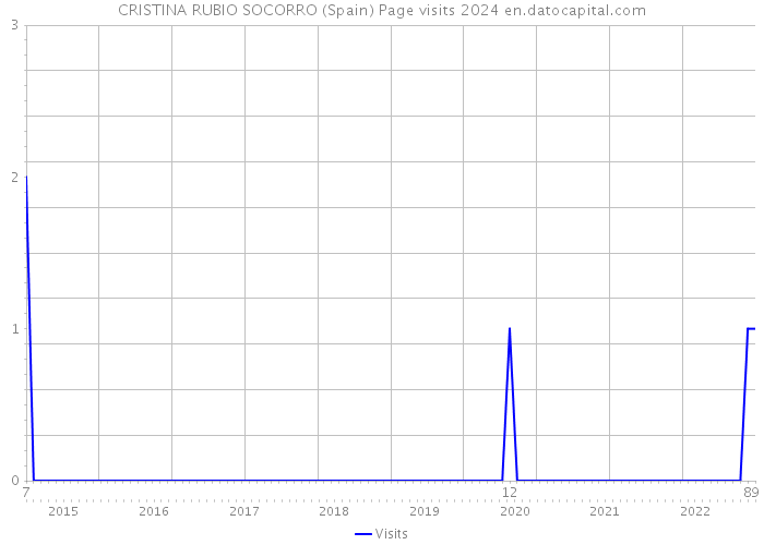 CRISTINA RUBIO SOCORRO (Spain) Page visits 2024 