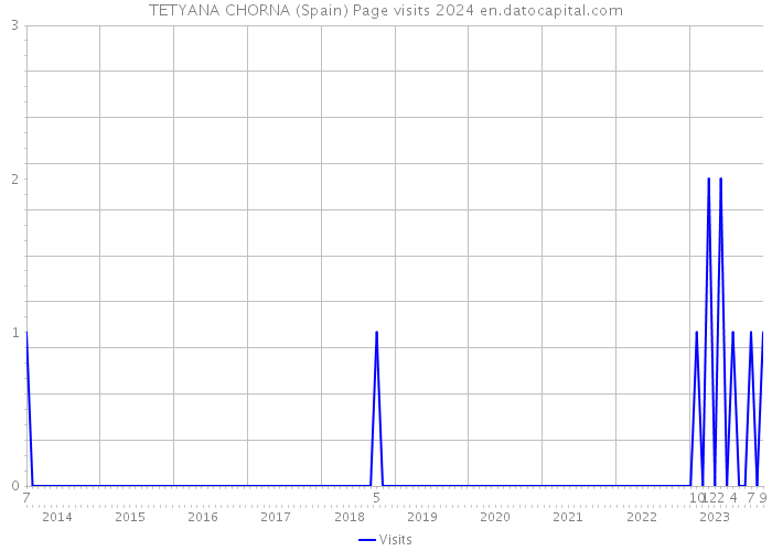 TETYANA CHORNA (Spain) Page visits 2024 