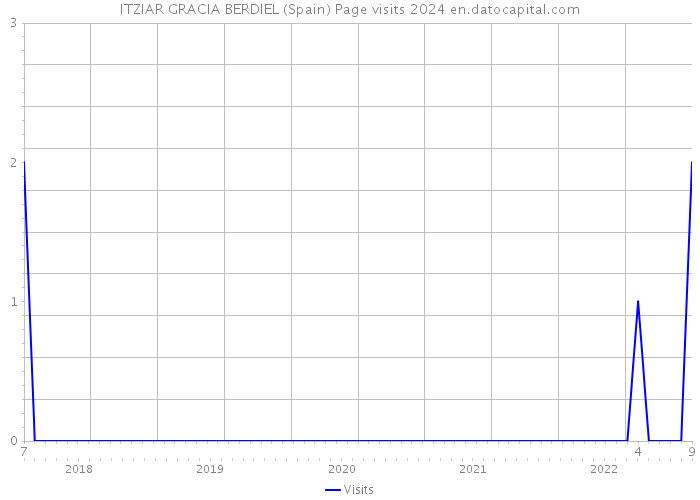 ITZIAR GRACIA BERDIEL (Spain) Page visits 2024 