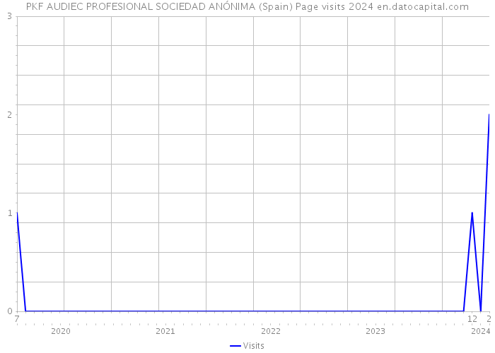 PKF AUDIEC PROFESIONAL SOCIEDAD ANÓNIMA (Spain) Page visits 2024 