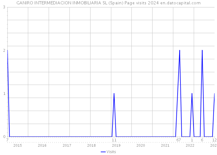 GANIRO INTERMEDIACION INMOBILIARIA SL (Spain) Page visits 2024 