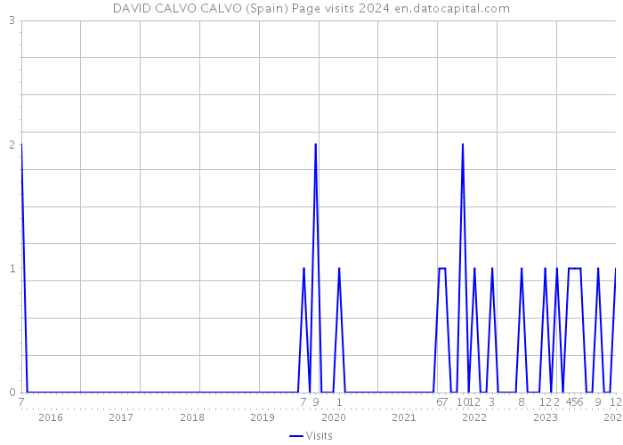 DAVID CALVO CALVO (Spain) Page visits 2024 