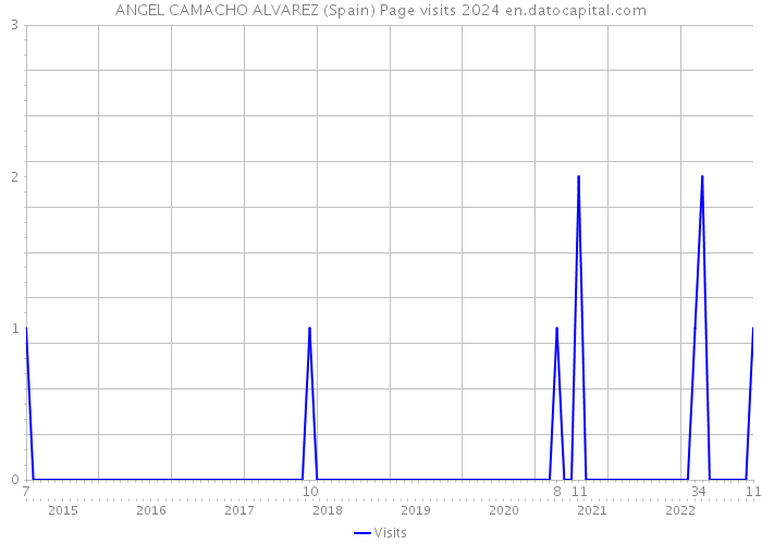 ANGEL CAMACHO ALVAREZ (Spain) Page visits 2024 