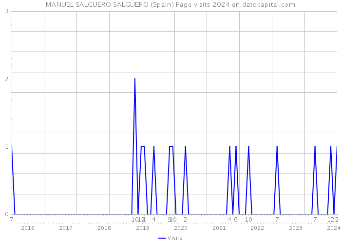MANUEL SALGUERO SALGUERO (Spain) Page visits 2024 