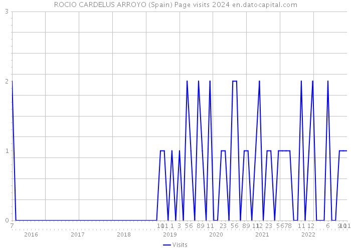 ROCIO CARDELUS ARROYO (Spain) Page visits 2024 