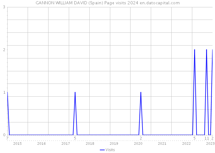 GANNON WILLIAM DAVID (Spain) Page visits 2024 