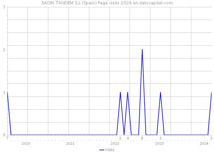 SAORI TANDEM S.L (Spain) Page visits 2024 