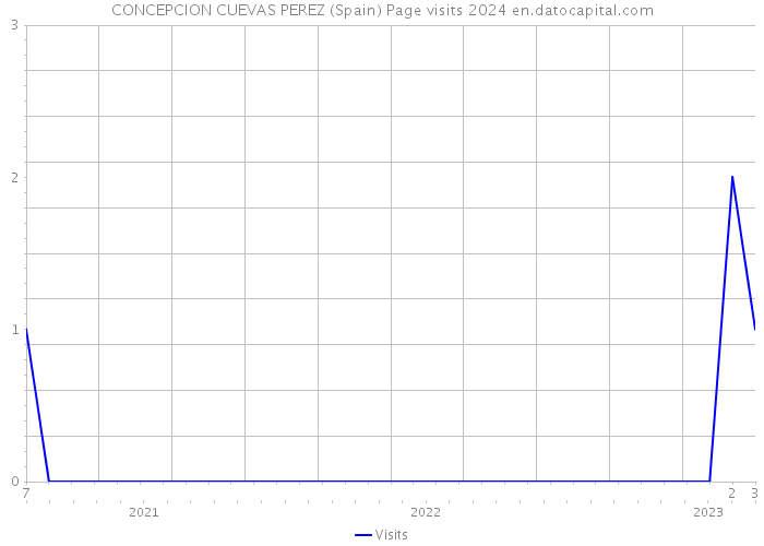 CONCEPCION CUEVAS PEREZ (Spain) Page visits 2024 