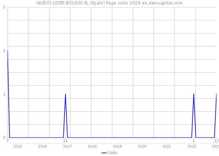 NUEVO LIDER BOLSOS SL (Spain) Page visits 2024 