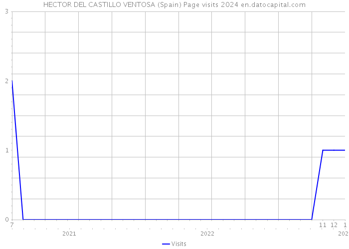HECTOR DEL CASTILLO VENTOSA (Spain) Page visits 2024 