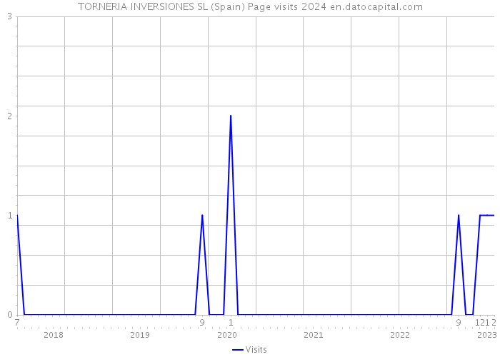 TORNERIA INVERSIONES SL (Spain) Page visits 2024 