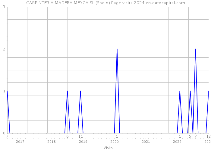 CARPINTERIA MADERA MEYGA SL (Spain) Page visits 2024 