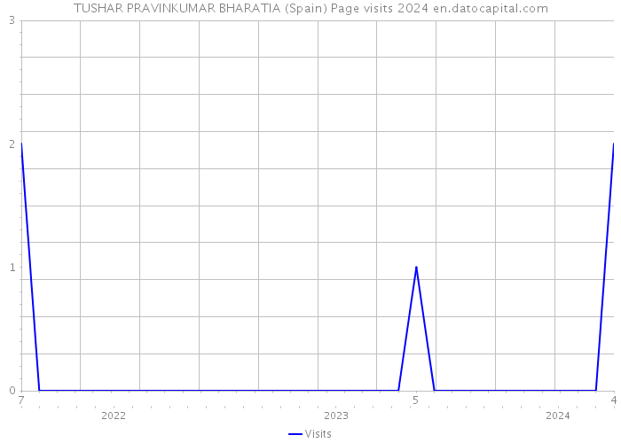 TUSHAR PRAVINKUMAR BHARATIA (Spain) Page visits 2024 