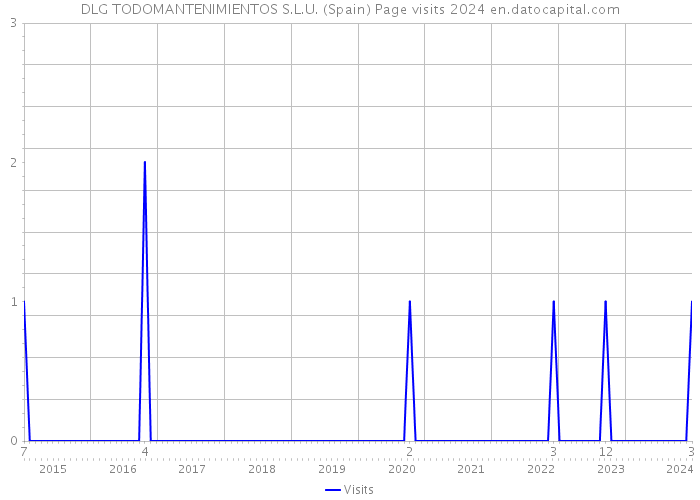 DLG TODOMANTENIMIENTOS S.L.U. (Spain) Page visits 2024 