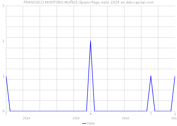 FRANCISCO MONTORO MUÑOZ (Spain) Page visits 2024 