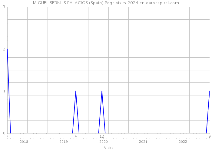 MIGUEL BERNILS PALACIOS (Spain) Page visits 2024 