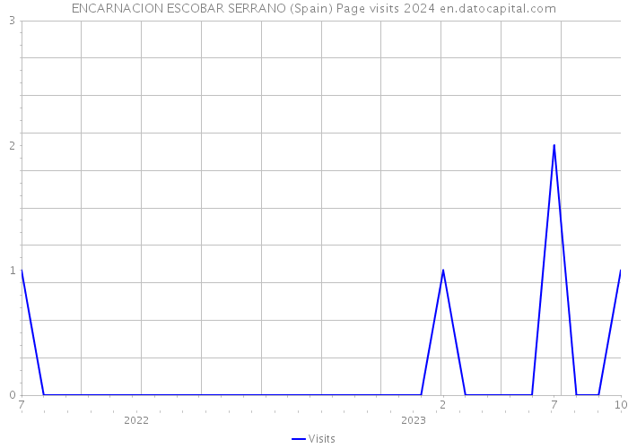 ENCARNACION ESCOBAR SERRANO (Spain) Page visits 2024 