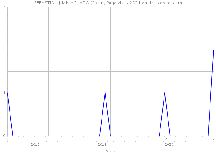 SEBASTIAN JUAN AGUADO (Spain) Page visits 2024 