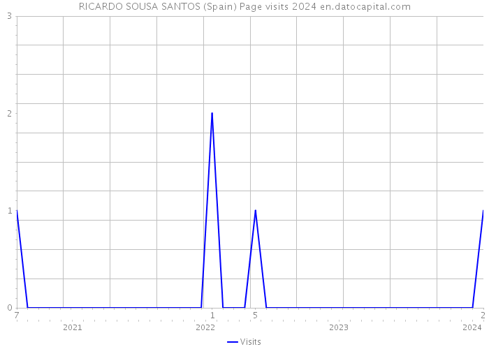 RICARDO SOUSA SANTOS (Spain) Page visits 2024 