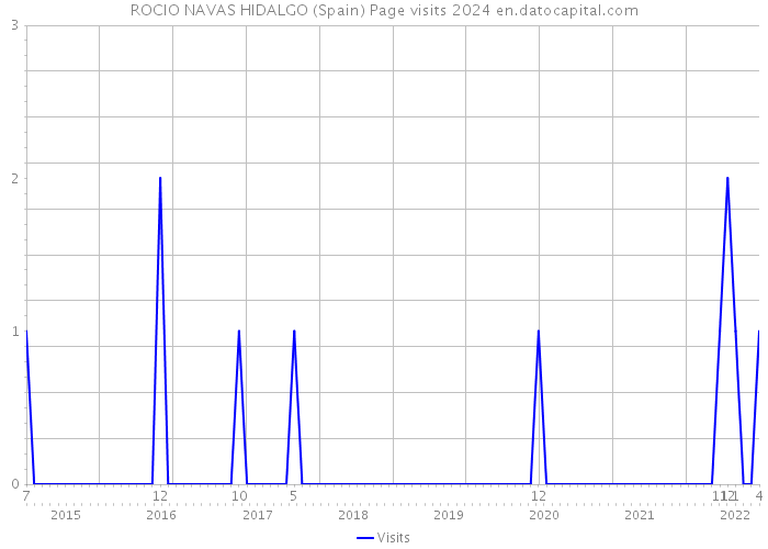 ROCIO NAVAS HIDALGO (Spain) Page visits 2024 