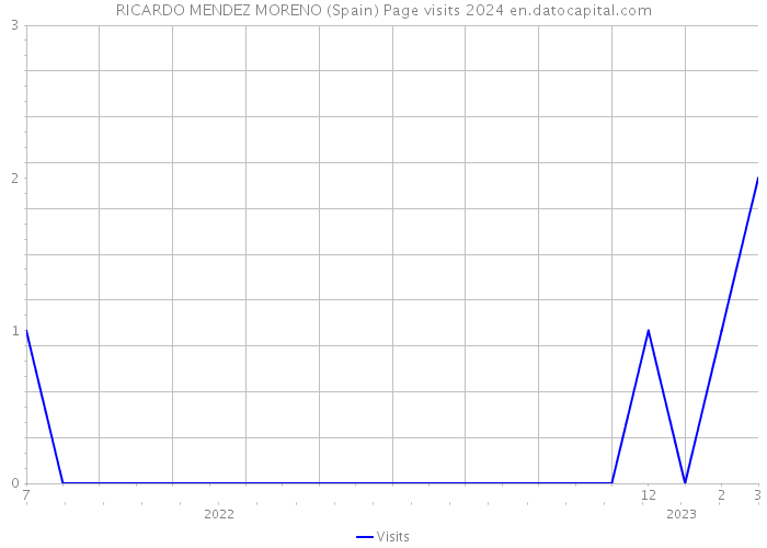 RICARDO MENDEZ MORENO (Spain) Page visits 2024 