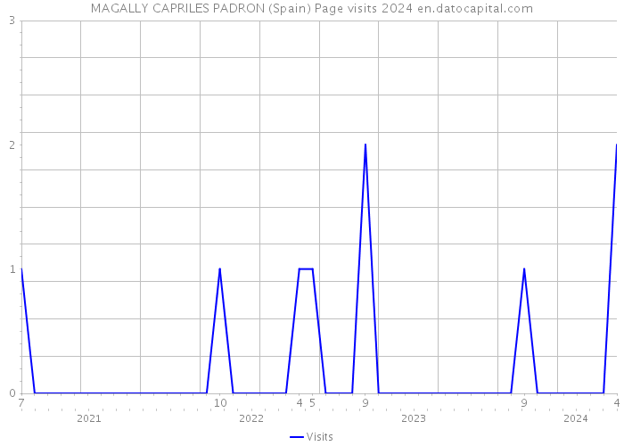 MAGALLY CAPRILES PADRON (Spain) Page visits 2024 