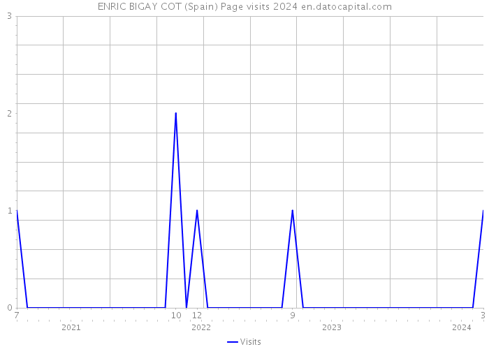 ENRIC BIGAY COT (Spain) Page visits 2024 