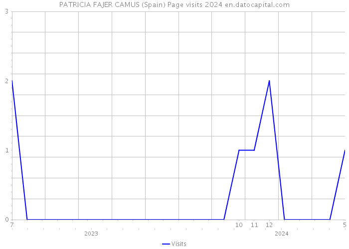 PATRICIA FAJER CAMUS (Spain) Page visits 2024 