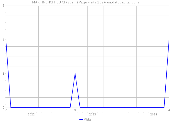 MARTINENGHI LUIGI (Spain) Page visits 2024 