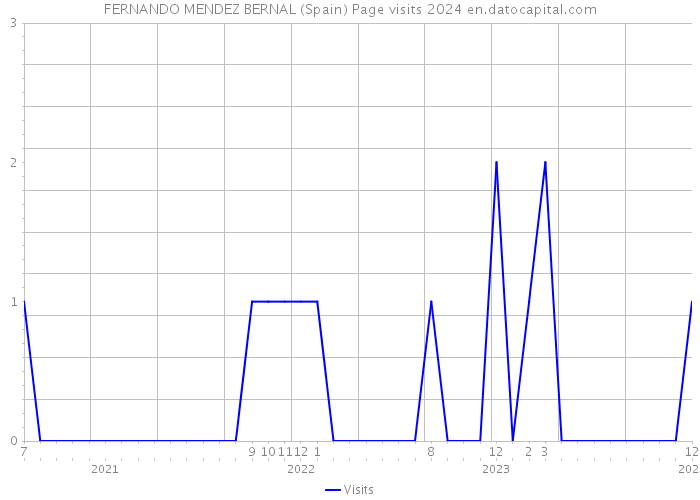 FERNANDO MENDEZ BERNAL (Spain) Page visits 2024 