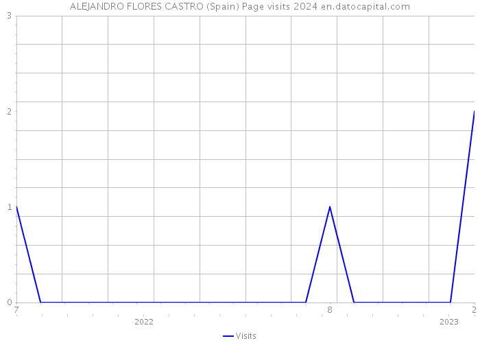 ALEJANDRO FLORES CASTRO (Spain) Page visits 2024 