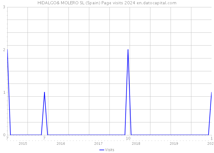 HIDALGO& MOLERO SL (Spain) Page visits 2024 