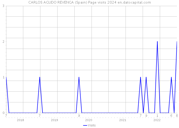 CARLOS AGUDO REVENGA (Spain) Page visits 2024 