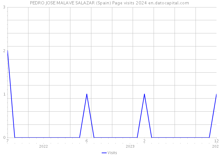 PEDRO JOSE MALAVE SALAZAR (Spain) Page visits 2024 