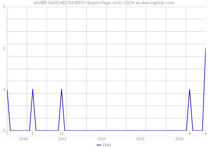 JAVIER SANCHEZ RASERO (Spain) Page visits 2024 