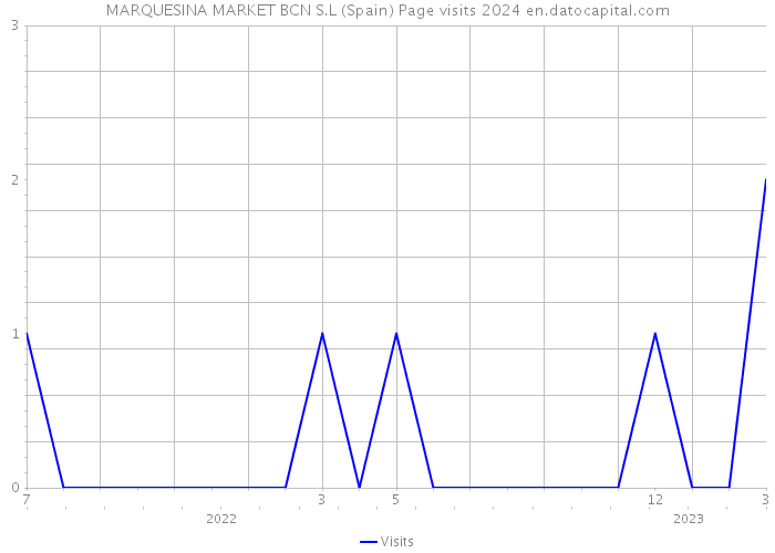 MARQUESINA MARKET BCN S.L (Spain) Page visits 2024 