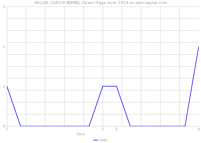 MIGUEL GARCIA BERBEL (Spain) Page visits 2024 