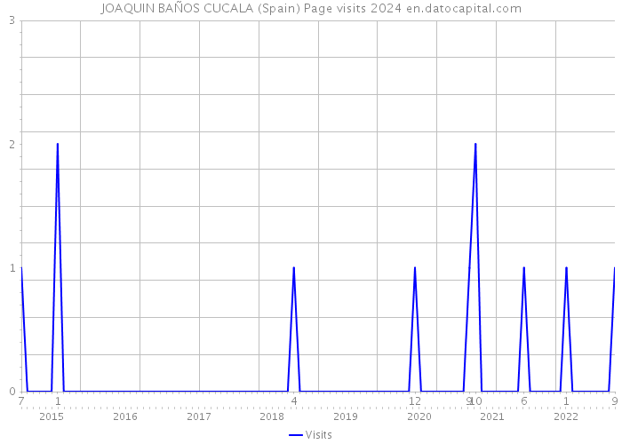 JOAQUIN BAÑOS CUCALA (Spain) Page visits 2024 