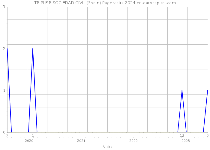 TRIPLE R SOCIEDAD CIVIL (Spain) Page visits 2024 