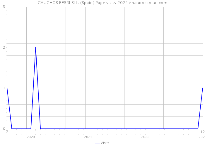 CAUCHOS BERRI SLL. (Spain) Page visits 2024 