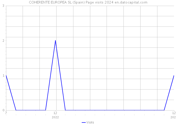 COHERENTE EUROPEA SL (Spain) Page visits 2024 