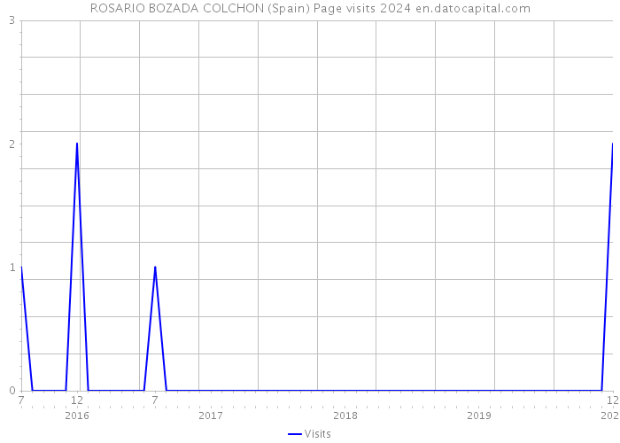 ROSARIO BOZADA COLCHON (Spain) Page visits 2024 
