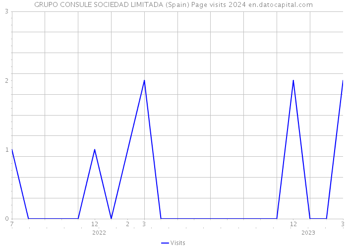 GRUPO CONSULE SOCIEDAD LIMITADA (Spain) Page visits 2024 