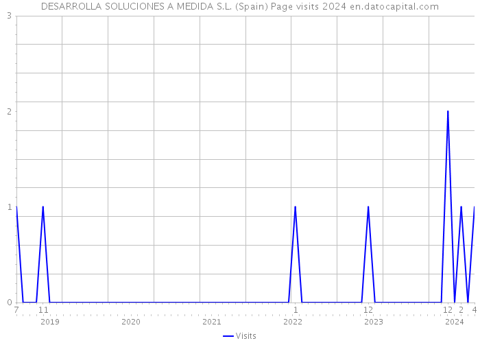 DESARROLLA SOLUCIONES A MEDIDA S.L. (Spain) Page visits 2024 